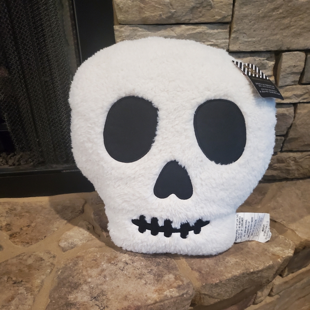 Fun Skull Pillow-NWT